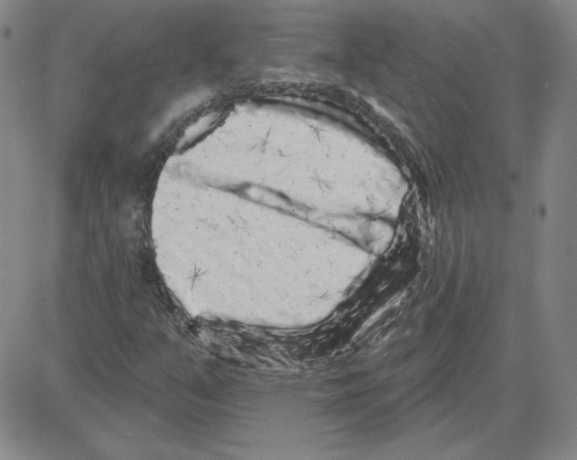 X0000080101351200701051254