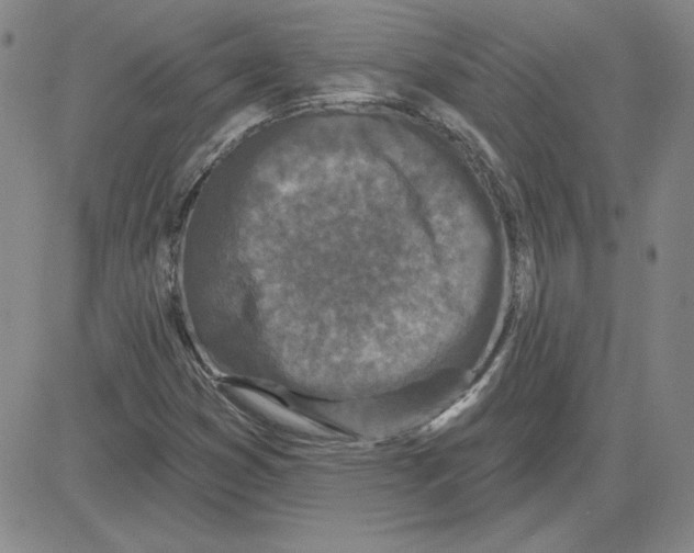 X0000080101353200701051254