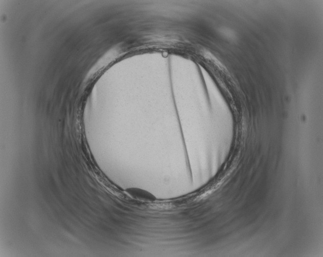 X0000080101354200701051254