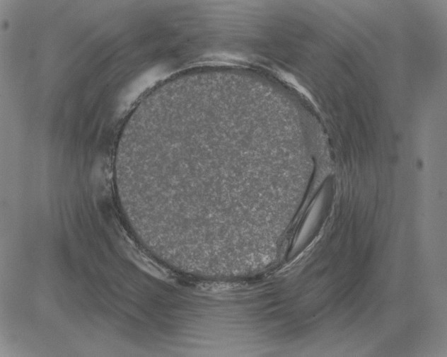 X0000080101355200701051254