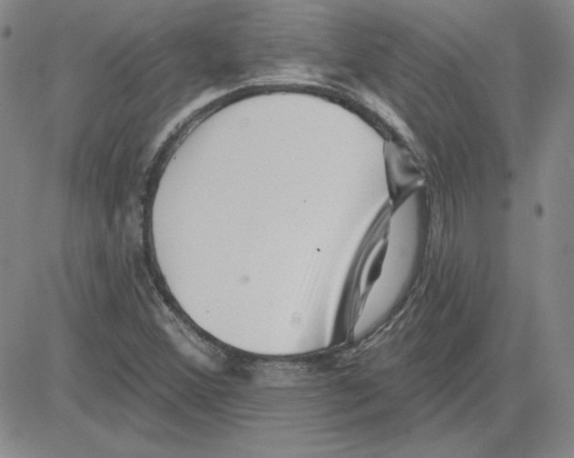 X0000080101356200701051254