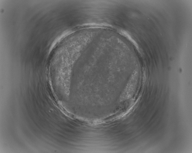 X0000080101357200701051254