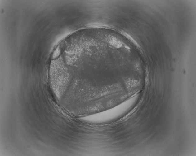 X0000080101358200701051254