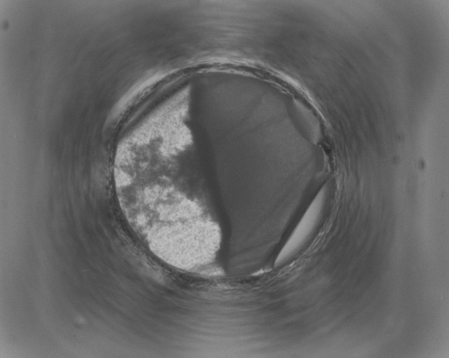 X0000080101359200701051254