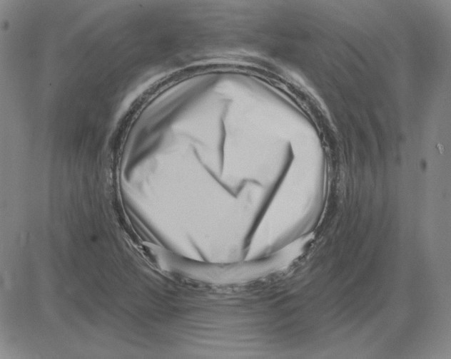 X0000080101360200701051254