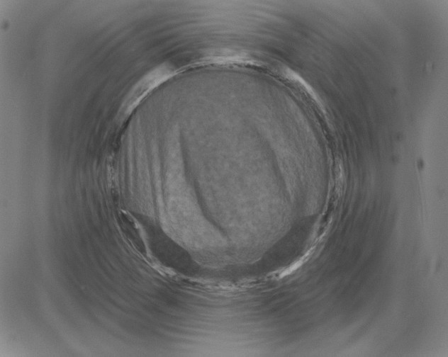 X0000080101361200701051254