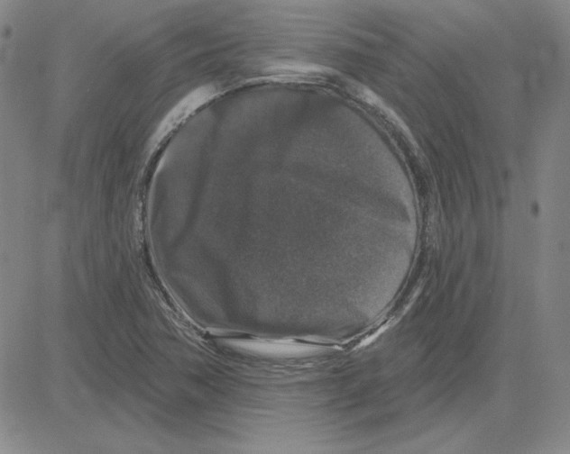 X0000080101362200701051254