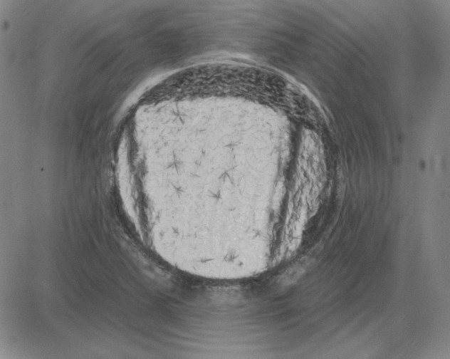 X0000080101363200701051254