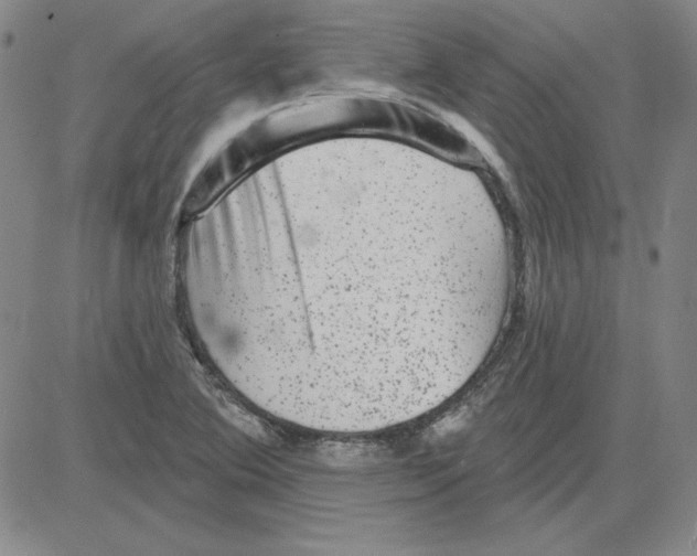 X0000080101364200701051254