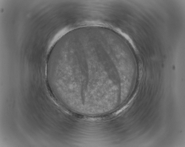 X0000080101365200701051254