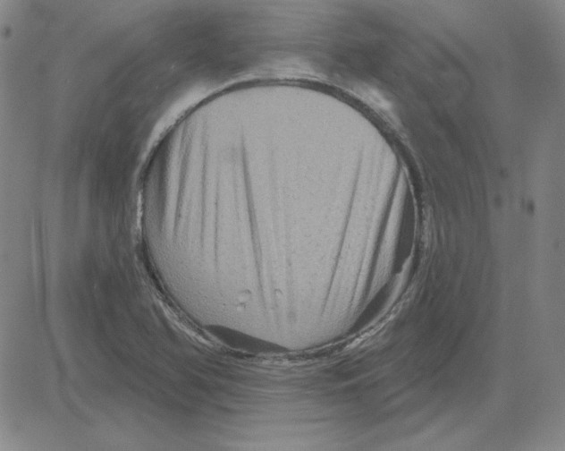 X0000080101366200701051254