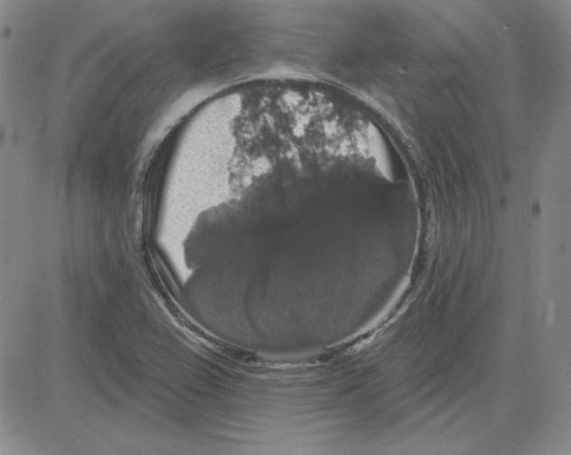 X0000080101367200701051254