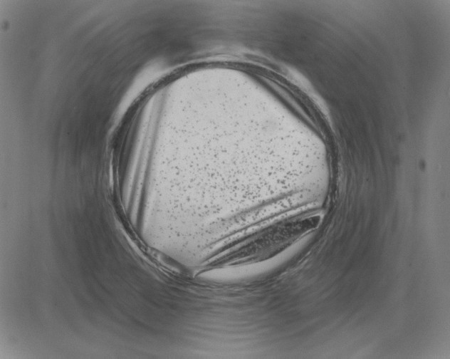 X0000080101368200701051254