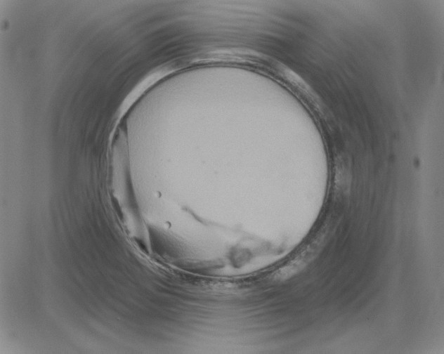 X0000080101370200701051254