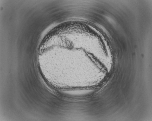 X0000080101371200701051254