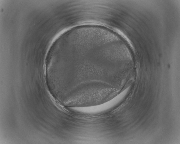 X0000080101372200701051254