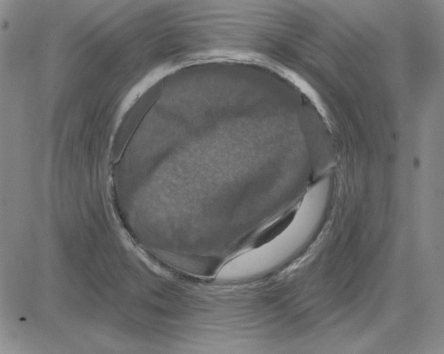 X0000080101373200701051254