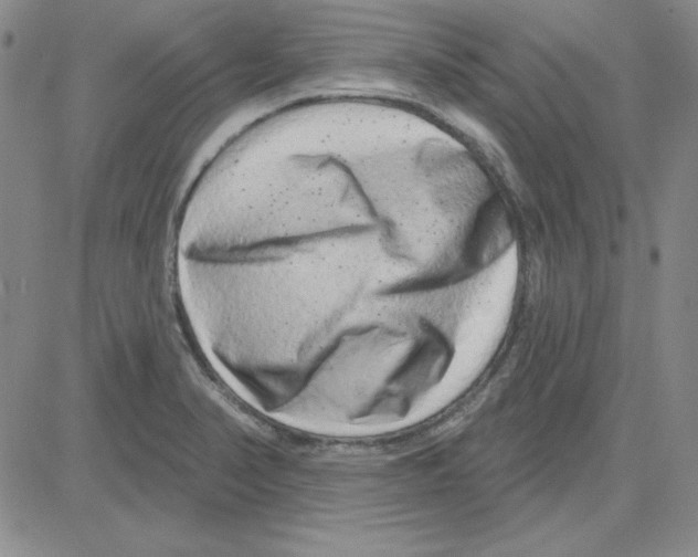 X0000080101374200701051254