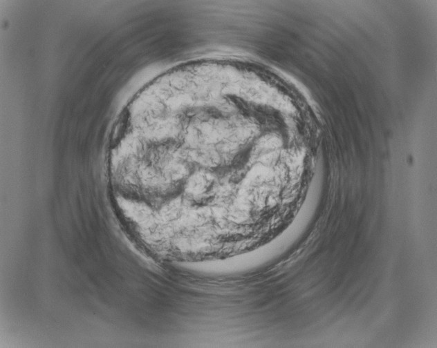 X0000080101375200701051254