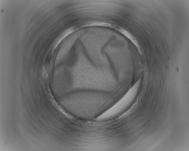 X0000080101377200701051254