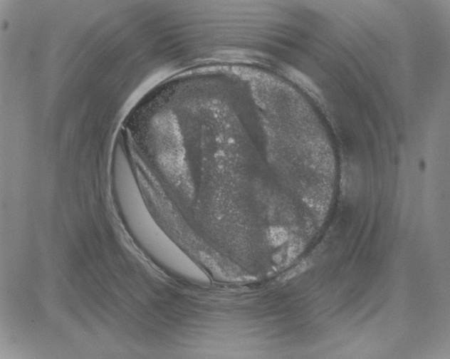 X0000080101378200701051254