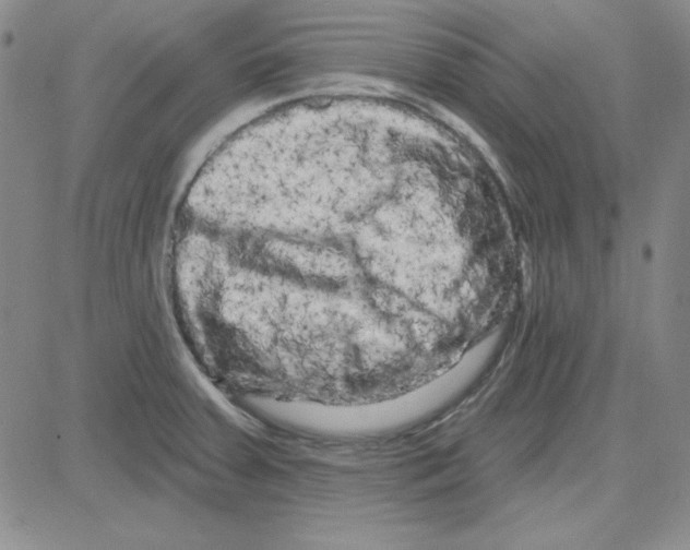 X0000080101379200701051254