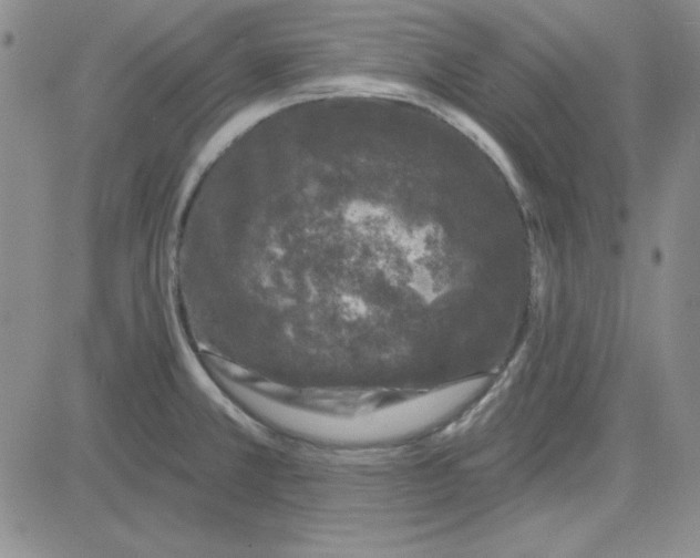 X0000080101381200701051254