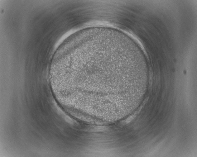 X0000080101382200701051254