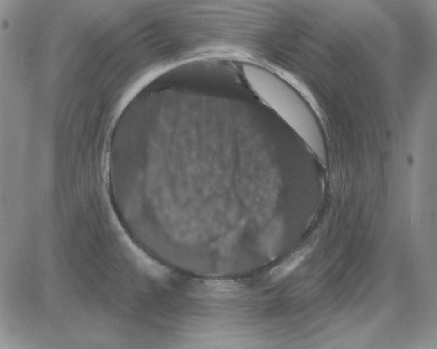 X0000080101383200701051254