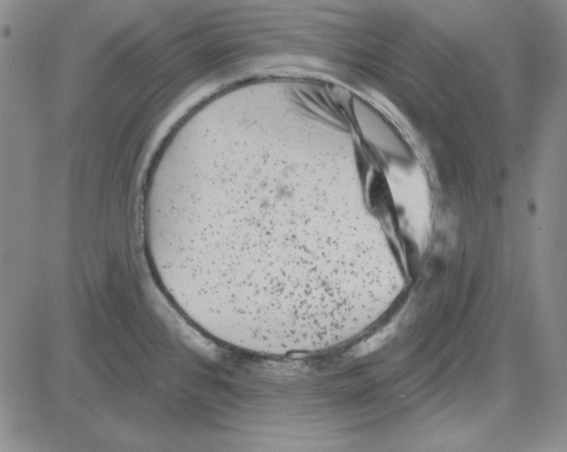 X0000080101384200701051254