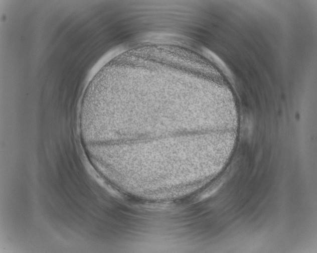 X0000080101386200701051254