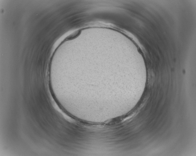 X0000080101387200701051254