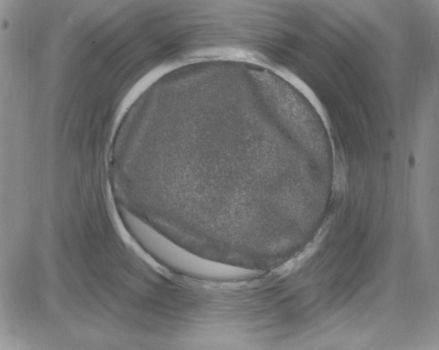 X0000080101389200701051254