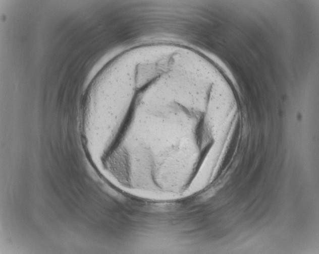 X0000080101390200701051254