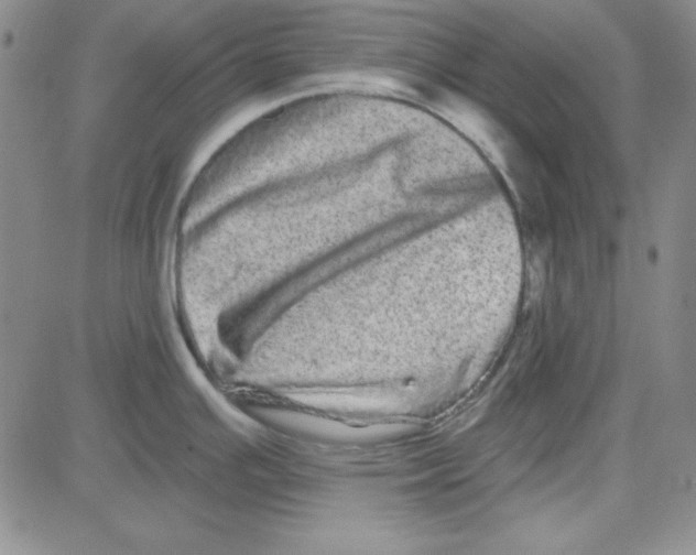 X0000080101391200701051254