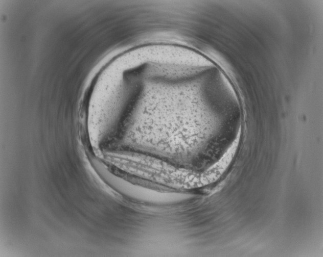 X0000080101392200701051254