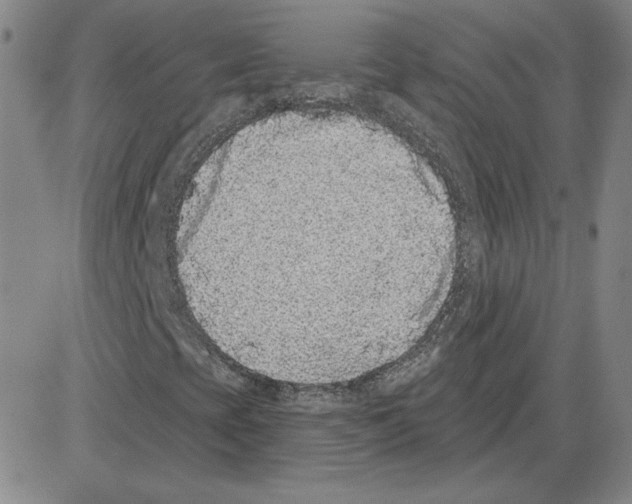 X0000080101393200701051253