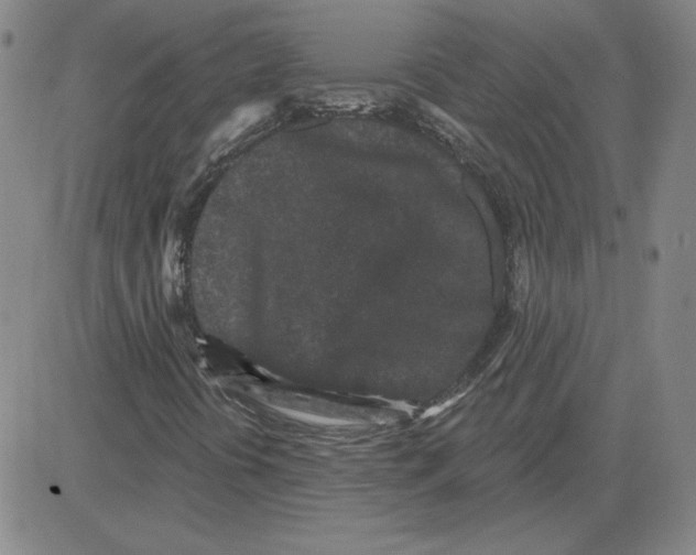 X0000080101394200701051253