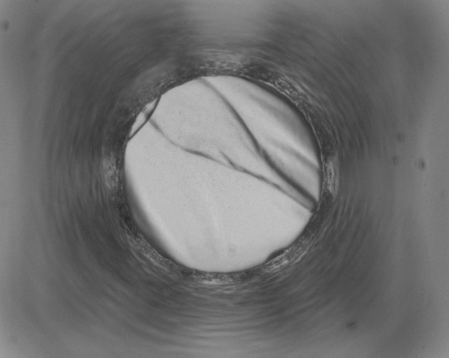 X0000080101395200701051253