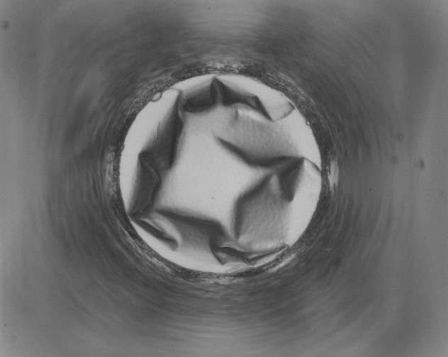 X0000080101396200701051253