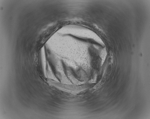 X0000080101398200701051253