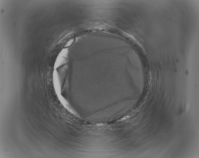 X0000080101399200701051253