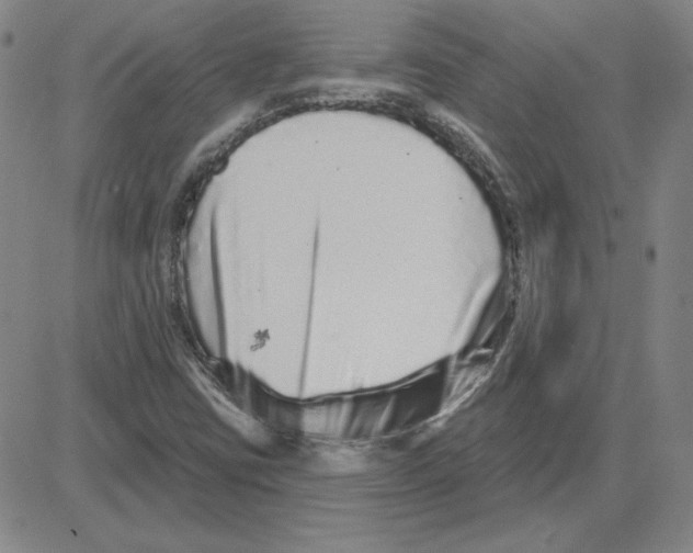 X0000080101403200701051253