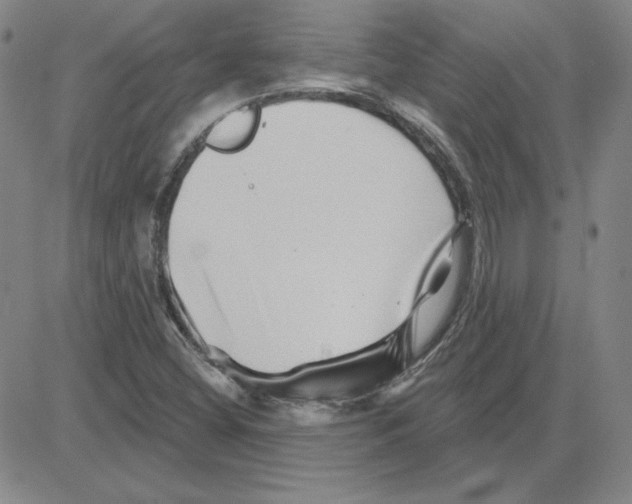 X0000080101404200701051253