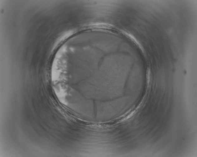 X0000080101405200701051253