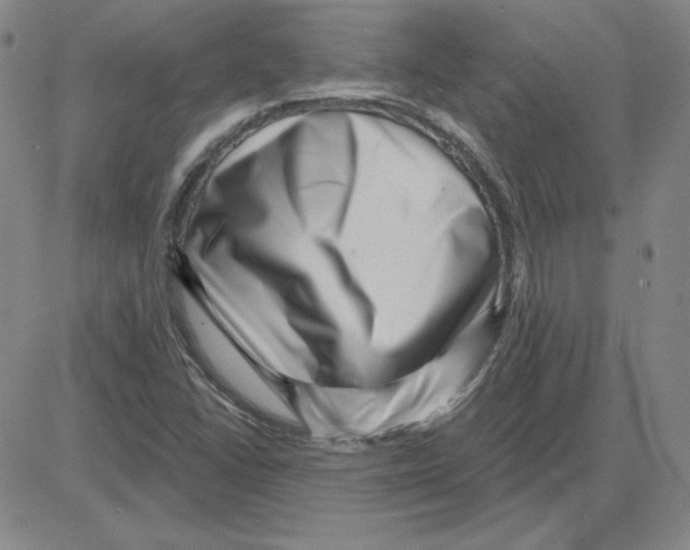 X0000080101406200701051253