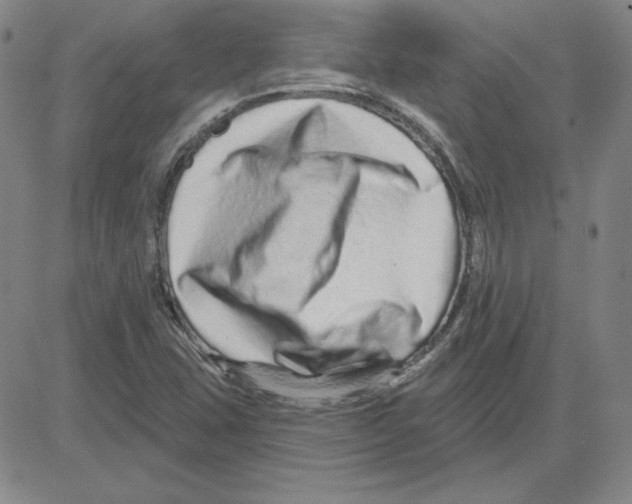 X0000080101407200701051253