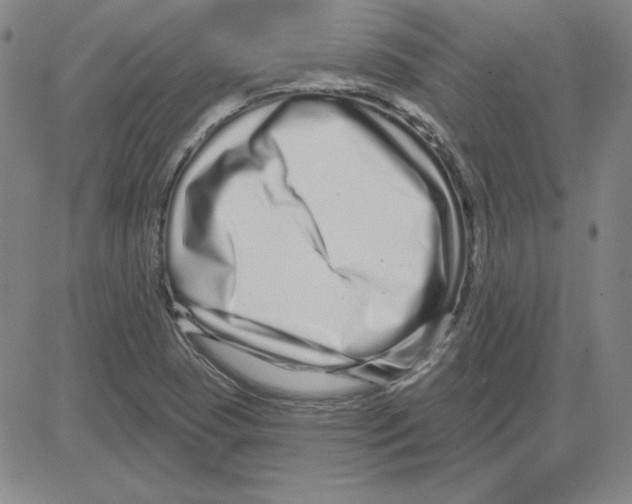 X0000080101409200701051253