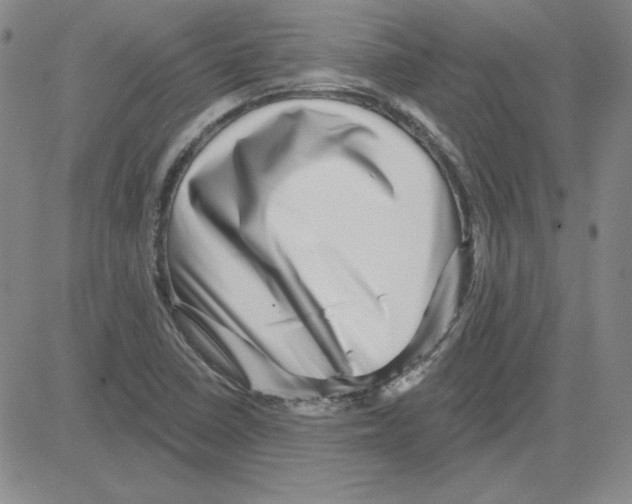 X0000080101410200701051253