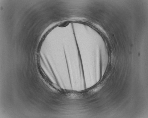 X0000080101412200701051253